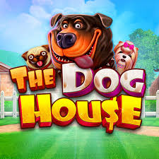 The Dog House: Play Free Demo Version and Test Your Strategy